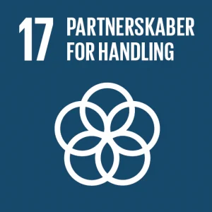 Verdensmål 17: Partnerskaber for handling